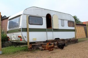 CHICKENCAMP: Hühnerhaltung im umgebauten Campingwagen seit 2013 CHICKENCAMP: Hühnerhaltung im umgebauten Campingwagen seit 2013