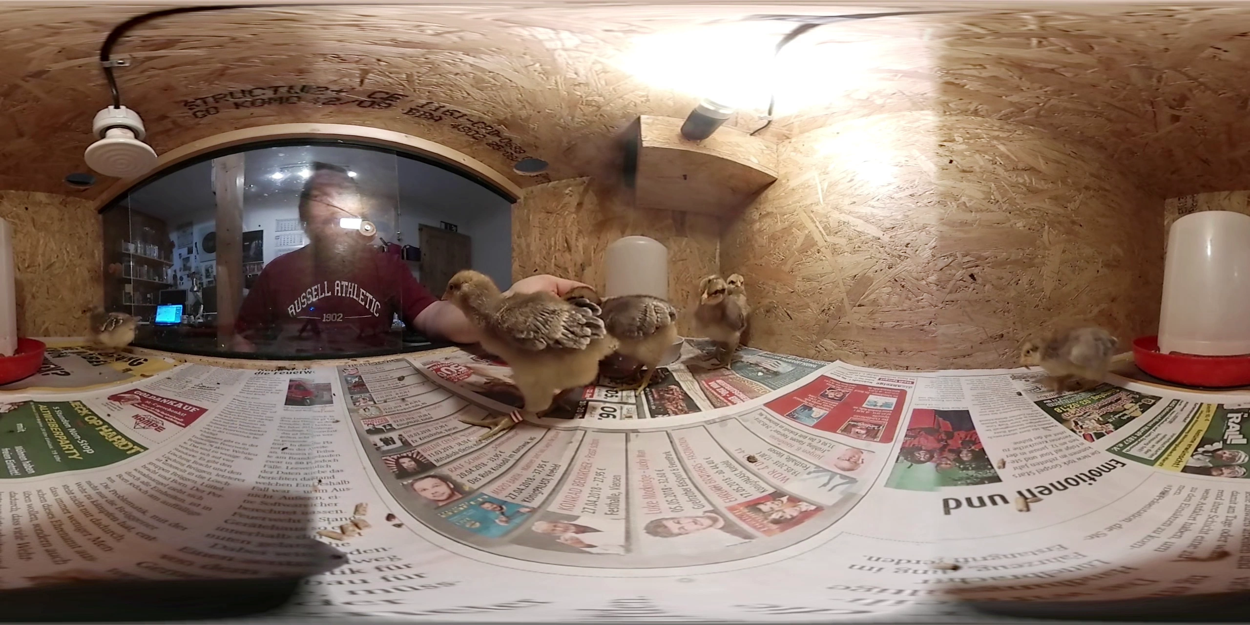 09.01.2018 - 360° Video - Küken aus dem Schaubrüter 7 Tage alt